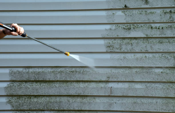 Professional Pressure washing in Blountville, TN